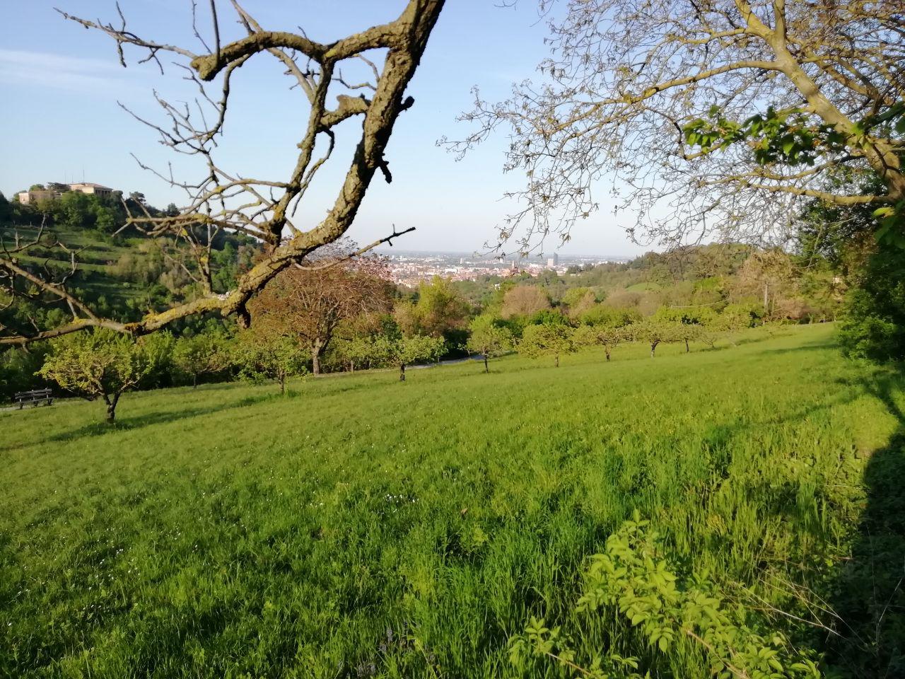 View from Villa Ghigi